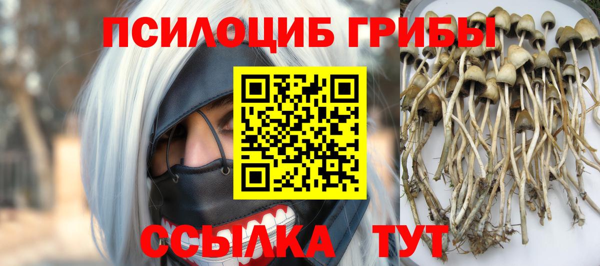 Галлюциногенные грибы мицелий Кирово-Чепецк