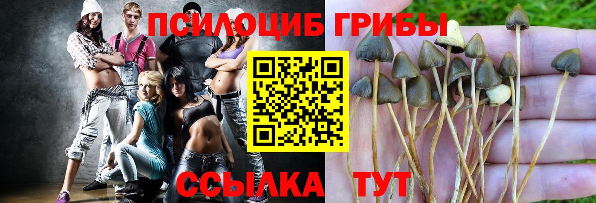 Кирово-Чепецк  Псилоцибиновые грибы мухоморы  Вход с VPN 